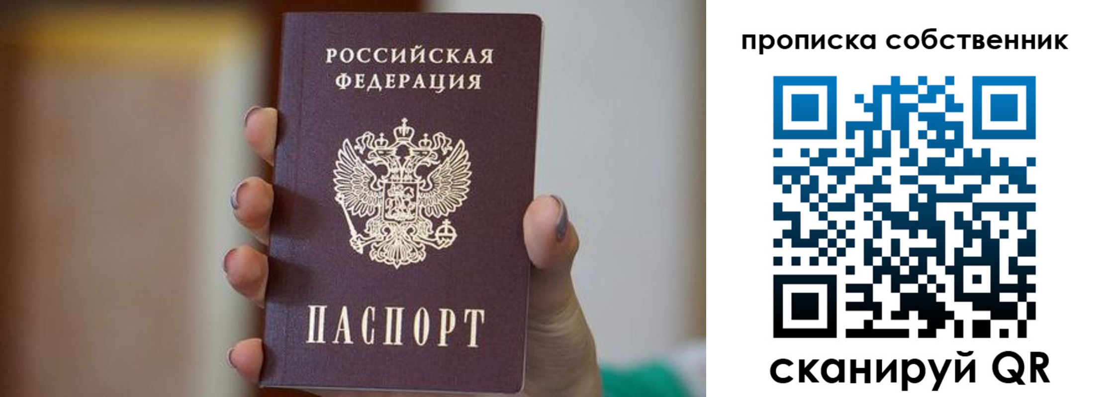 прописка поиск в Сосновке